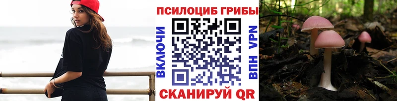 Купить  Пермь  Галлюциногенные грибы Psilocybine cubensis 
